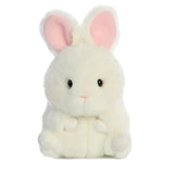 Bunbun Bunny Plush |