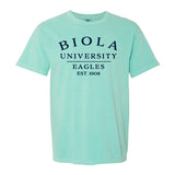 Spring Comfort Colors Tee, Chalky Mint