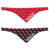 Game Day Large Reversible Pet Bandana